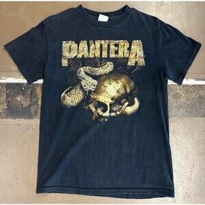 Vintage y2k Pantera Band Tee Skull Snake dated 2008 Rock Black Graphic T-shirt